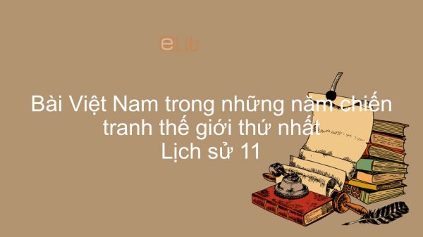 Lịch Sử 11 Bài 24: Việt Nam Trong Những Năm Chiến Tranh Thế Giới Thứ Nhất (