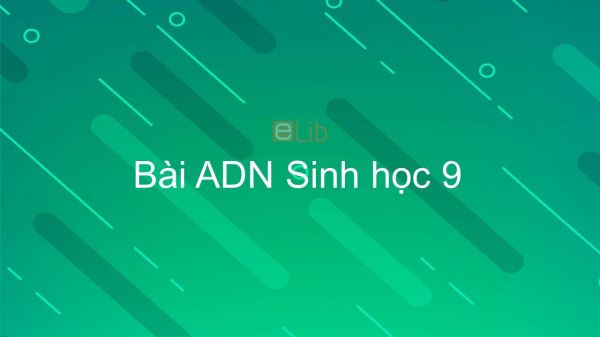 GIẢI BÀI TẬP SINH HỌC 9 SÁCH GIÁO KHOA  CHƯƠNG 1  BÀI 4 Lai hai cặp tính  trạng