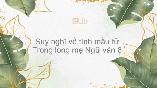 Suy Nghĩ Về Tình Mẫu Tử Trong Lòng Mẹ - Nguyên Hồng