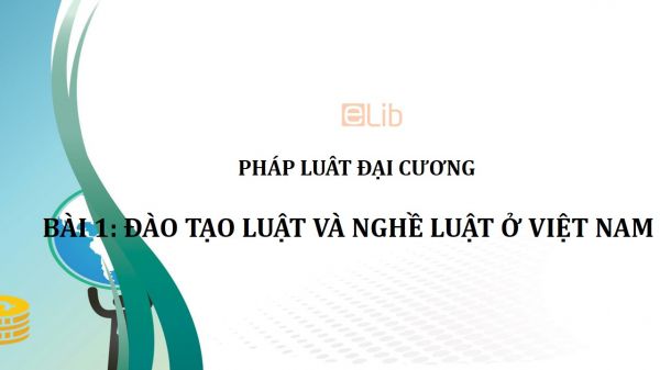 Top 65 về mô hình đào tạo luật ở việt nam hay nhất  Tin học Đông Hòa