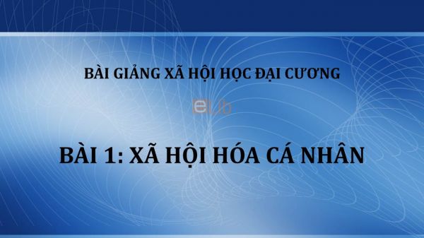 Xã hội hóa cá nhân là gì Tìm hiểu các giai đoạn của xã hội hóa cá nhân