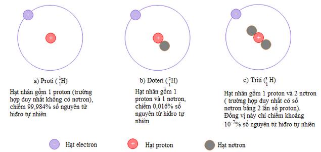Hình 1: Sơ đồ cấu tạo các nguyên tử đồng vị của nguyên tố Hidro