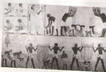 Hình 1: Tranh khắc trên tường đá một lăng mộ ở Ai Cập thế kỉ XIV TCN