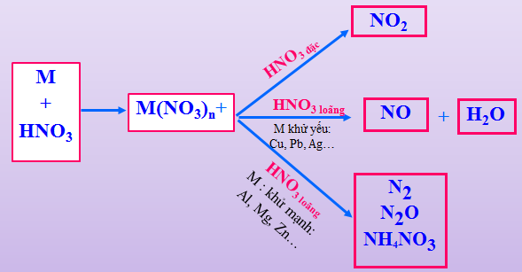 Hình 1: Các sản phẩm khử của HNO3