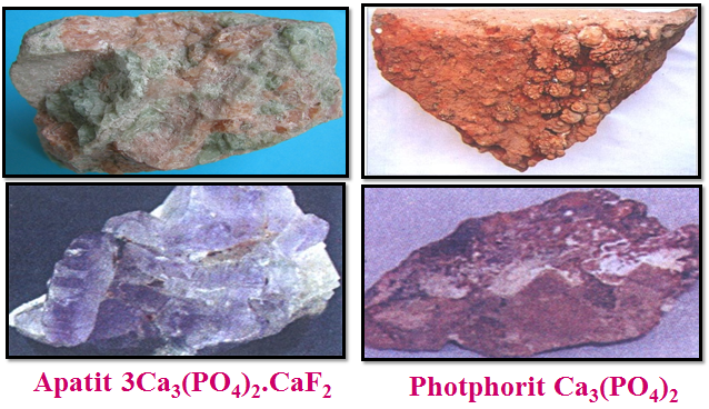 Hình 4: Hai khoáng vật chính của photpho