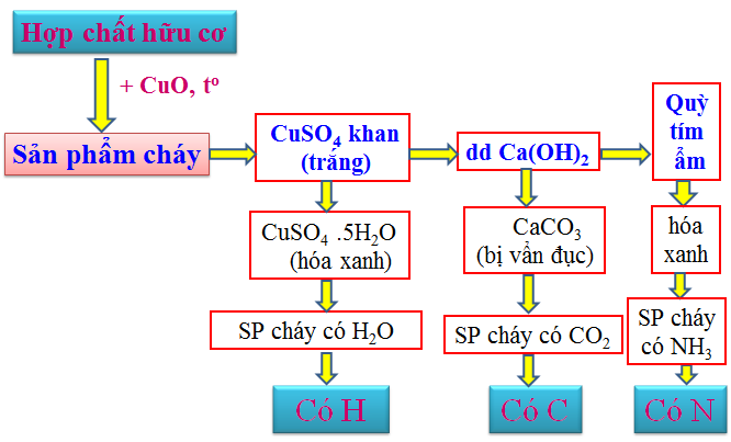 Hình 3: Phương pháp tiến hành phân tích định tính hợp chất hữu cơ