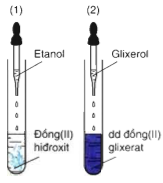 Hình 3: Glixerol hòa tan Đồng (II) hidroxit thành dung dịch màu xanh lam (2)