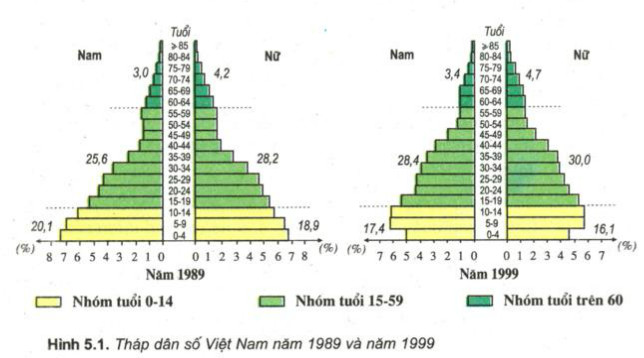 Hình 5.1.Tháp dân số Việt Nam năm 1989 và năm 1999