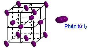 Hình 1: Cấu trúc phân tử Iod