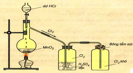 Hình 3: Điều chế và thu khí Clo trong phòng thí nghiệm