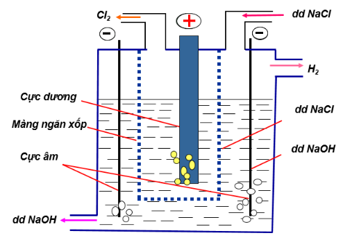 Hình 4: Sơ đồ điện phân NaCl để thu khí Clo