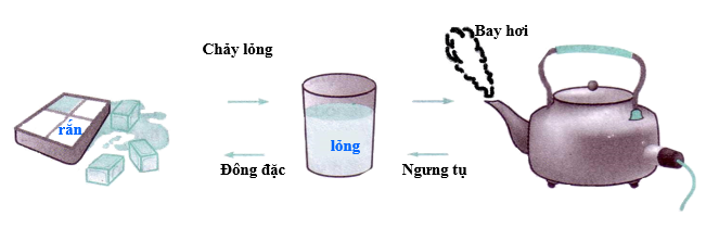 Hình 1: Quá trình từ Rắn thành lỏng rồi khí của nước