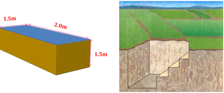 Hình 1. Kích thước, hình dạng và lát cắt 1 phẫu diện đất