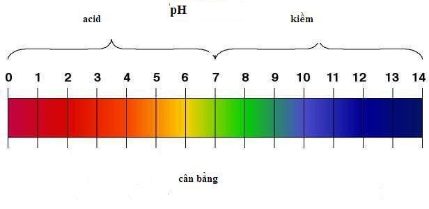 Bảng đo pH