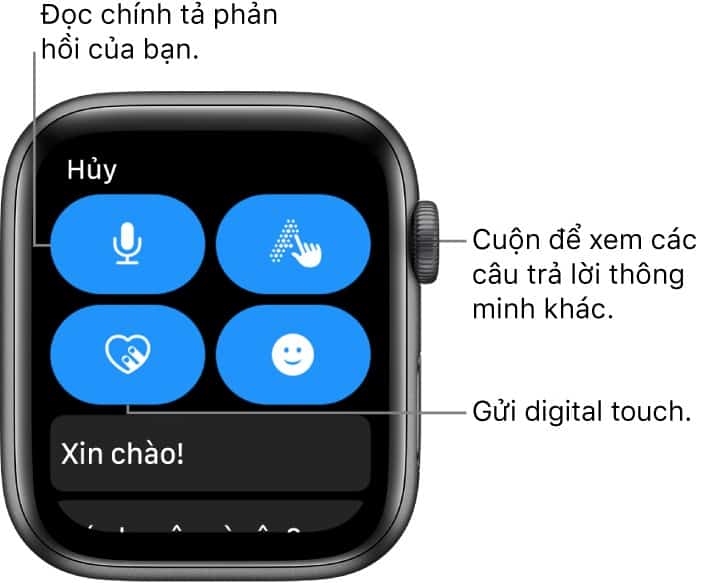 Sử dụng núm xoay Digital Crown trên Apple Watch 