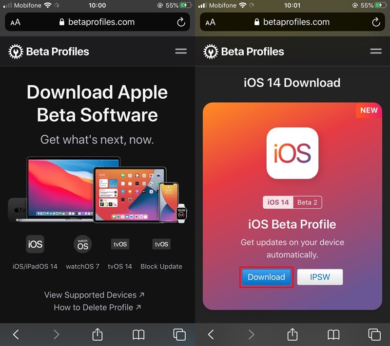 Ccaif đặt iOS 14 Beta 2