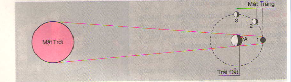 Hình 3.4 bài 4 trang 10 SGK Vật lý 7