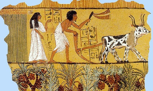 Sản xuất nông nghiệp ở phương Đông cổ đại