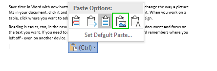 Tại Paste Options chọn Picture