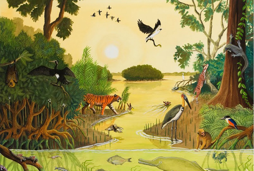 Quần xã sinh vật đầm lầy Mangrove Ấn Độ