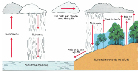 Chu trình nước trong tự nhiên