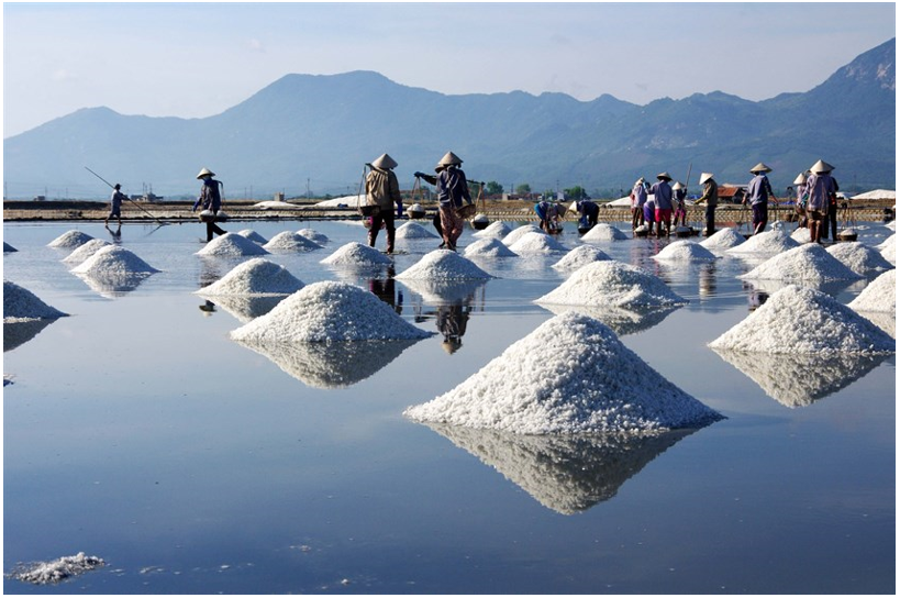 Sản xuất muối ở Cà Ná, Ninh Thuận