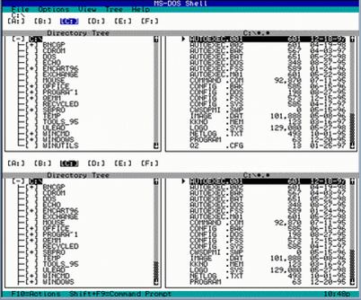 Hình 1. Giao diện hệ điều hành MS DOS