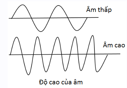 Đồ thị dao động của âm có tần số thấp (âm trầm) và tần số âm cao