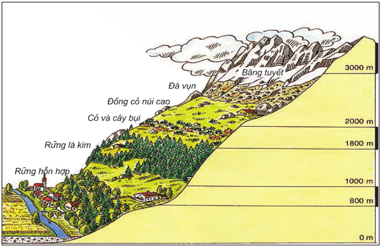 Các vành đai thực vật theo độ cao ở núi An-pơ (châu Âu)