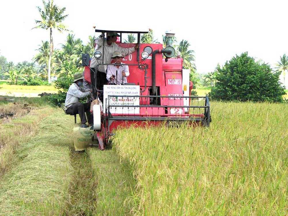 Máy gặt lúa liên hợp sử dụng động cơ đốt trong dùng trong nông nghiệp