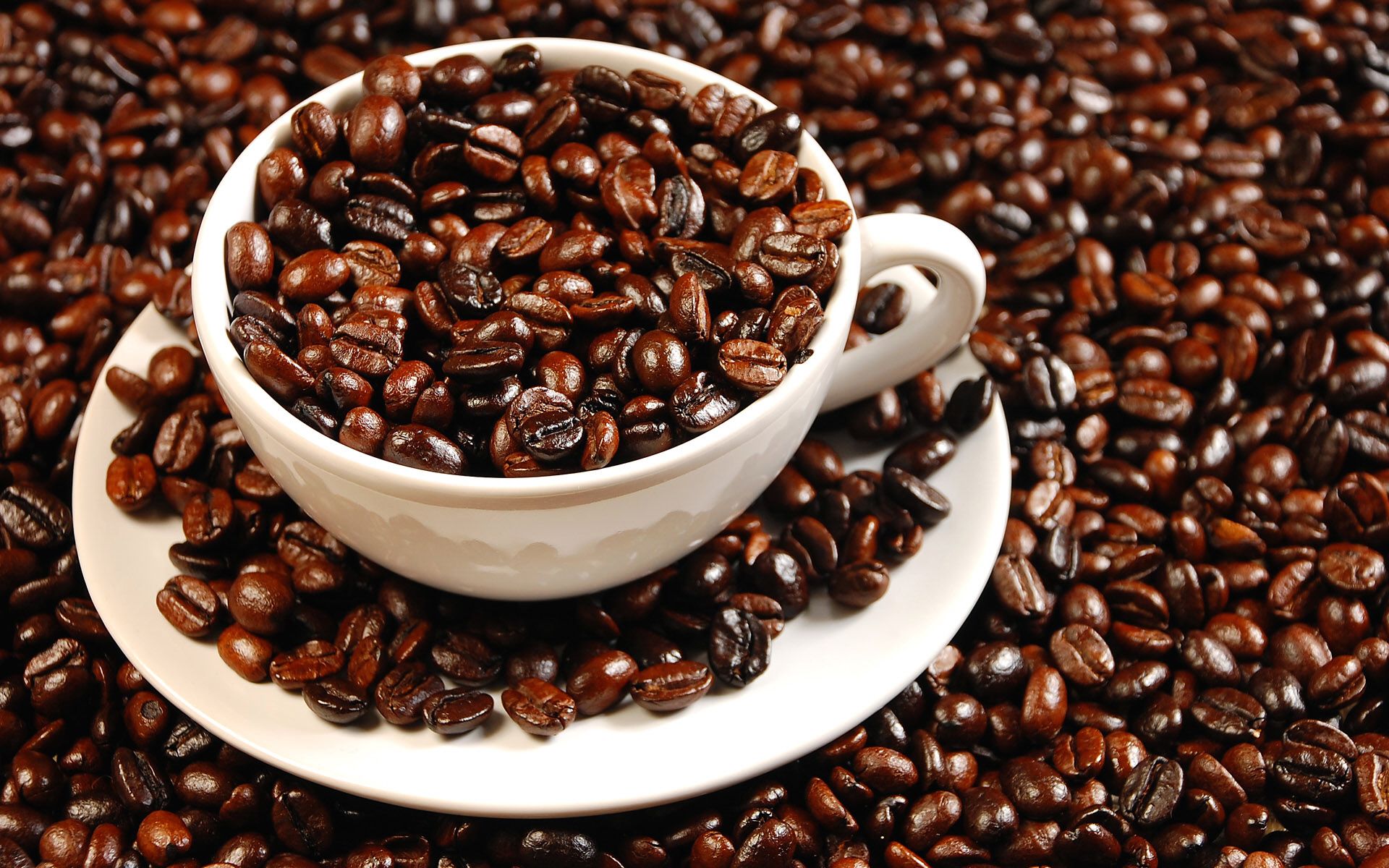 Nhân cà phê (hạt cà phê)