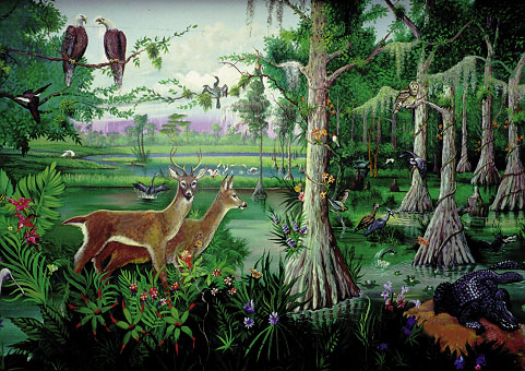 Hệ sinh thái rừng nhiệt đới