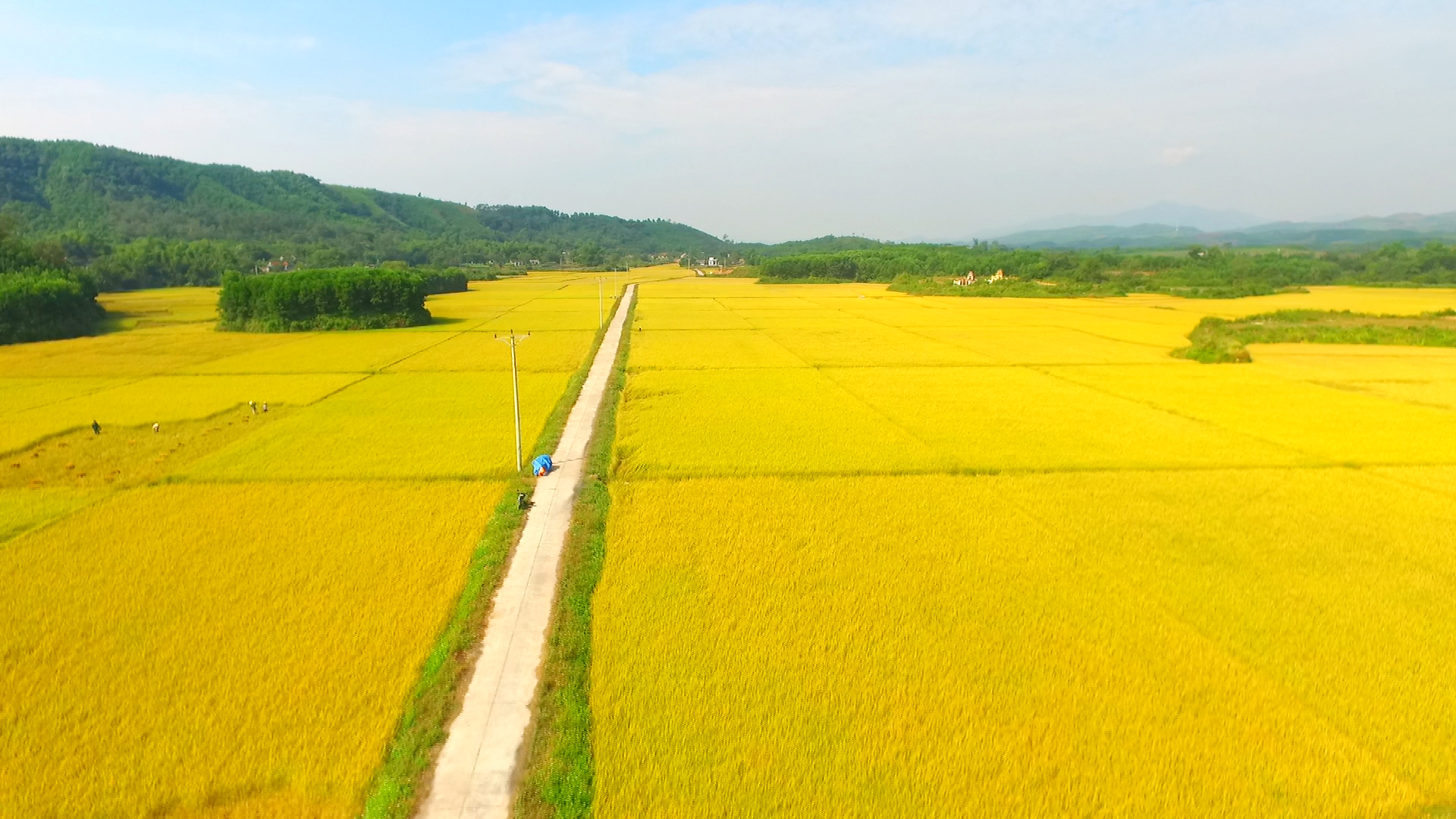 Duy trì sinh thái nông nghiệp lúa nước