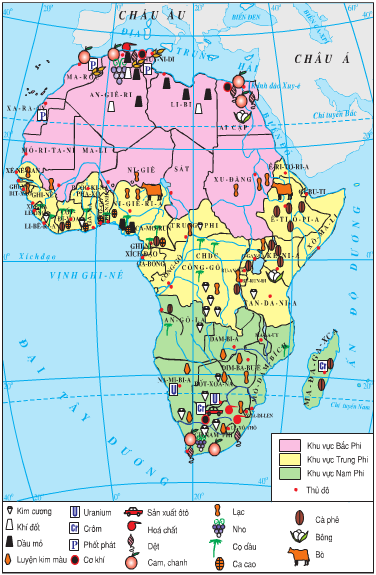Lược đồ kinh tế châu Phi