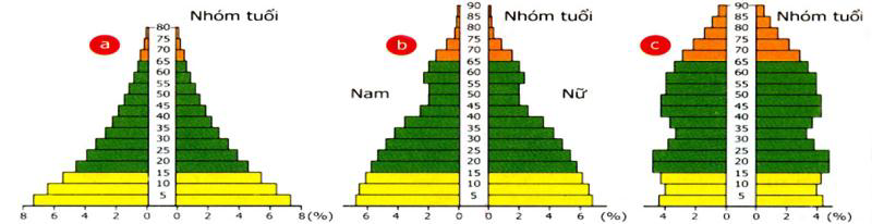 Ba dạng tháp tuổi (%) a. Tháp dân số Ấn độ năm 1970. b Tháp dân số Việt Nam 1989. c Tháp dân số thụy điển năm 1955