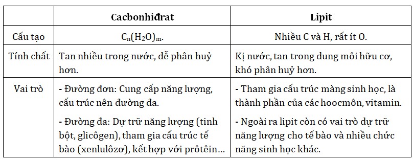 Đặc điểm so sánh giữa Cacbonhidrat và Lipit