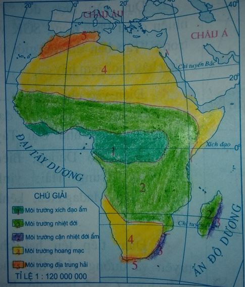 Lược đồ các môi trường tự nhiên châu Phi