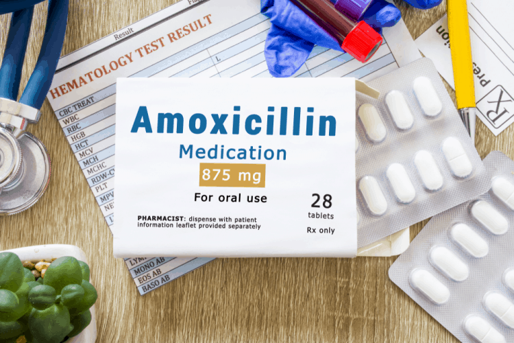Liều dùng thuốc amoxillin